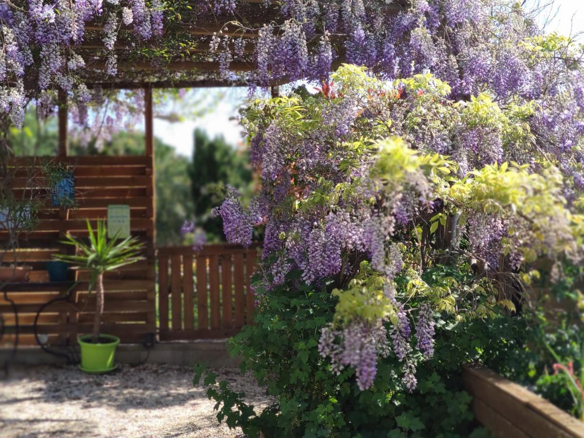 Maison d'hôtes Coeur d'Hérault Péret Esterno foto