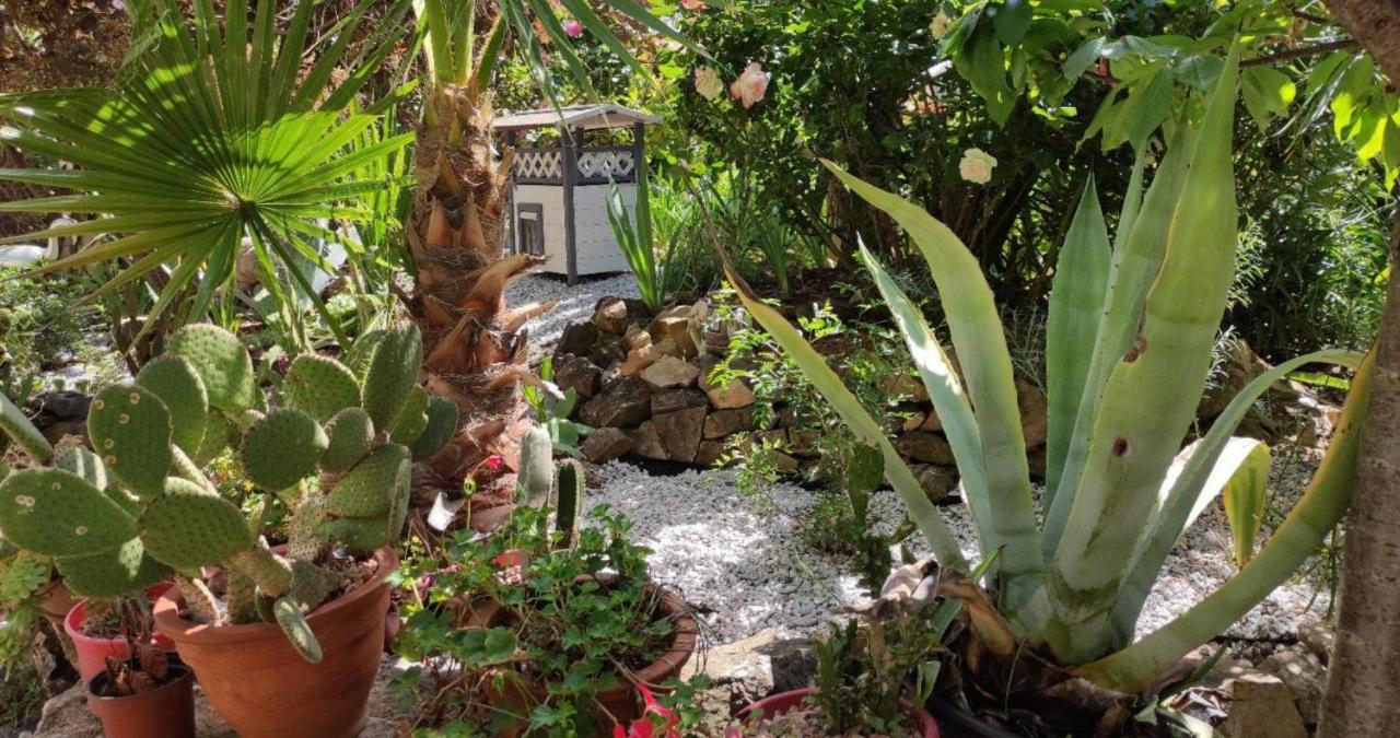 Maison d'hôtes Coeur d'Hérault Péret Esterno foto